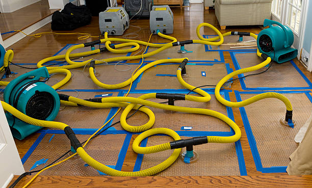 Professional Sewage Cleanup technician working in Kingston, OK